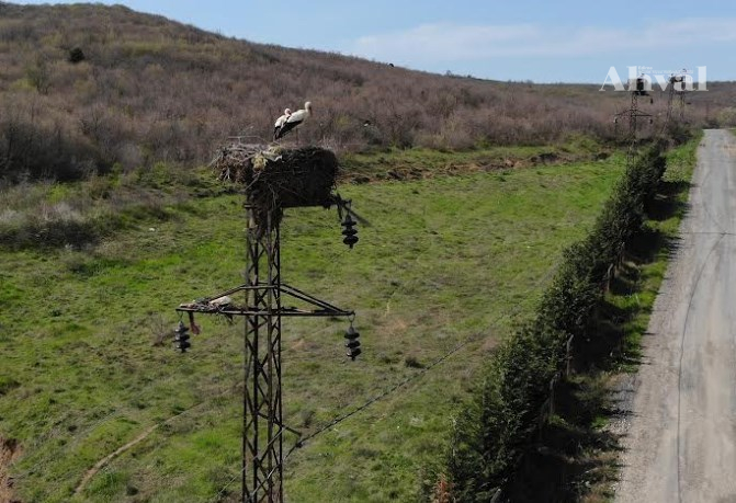 TREDASin projeleri hayvanlara koruma kalkani | Edirne Ahval Gazetesi